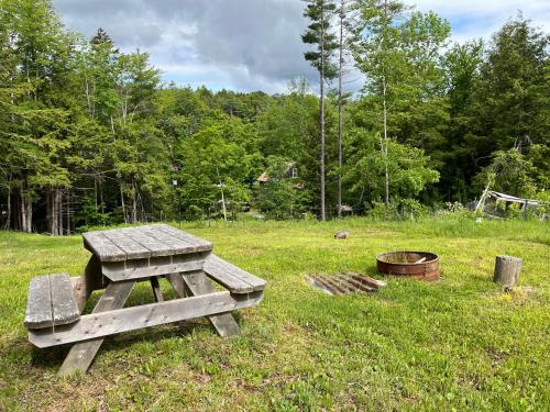 a picnic table and a fire pit in a field at The Brookside Lodge & Cottage in Dover