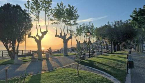 a park with trees and benches on a street at Cottage Cilento B&B in Trentinara