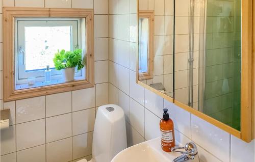 baño con lavabo y ventana en Nice Home In Valdemarsvik With Kitchen, en Valdemarsvik