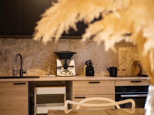 une cuisine avec un comptoir et un mixeur dans l'établissement Pamp’Arles, à Arles