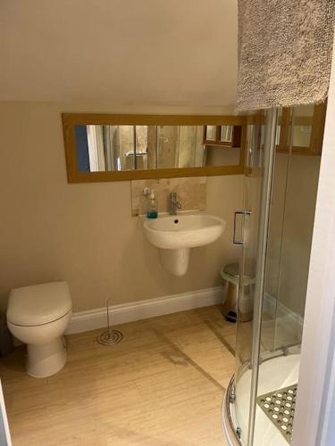 a bathroom with a toilet and a sink at Kenns Farm - 2 Beautiful Barns in Carterton