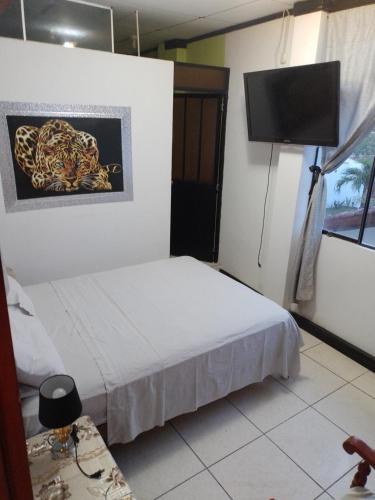 HABITACIÓN AMUEBLADA Y ACOGEDORA في Puerto Callao: غرفة نوم بسرير وتلفزيون بشاشة مسطحة