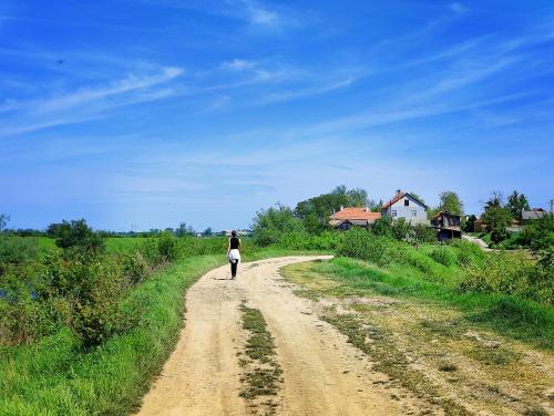 Gallery image of Hedonists Paradise in Omoljica