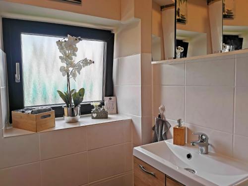 ein Bad mit einem Waschbecken und einem Fenster in der Unterkunft Wellness zur Alleinnutzung mit Ferienwohnung und Fitnessbereich - fitSPA in Sulz am Neckar
