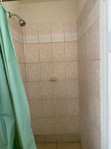 a shower with a green shower curtain in a bathroom at Seawinds Apartments in Christ Church