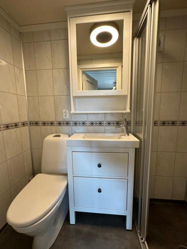 a bathroom with a toilet and a sink and a mirror at Liten og koselig hytte in Beitostøl