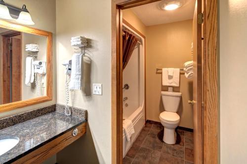 a bathroom with a toilet and a sink and a mirror at Rock Crest Lodge & Cabins in Custer