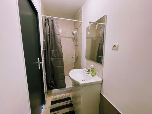 a bathroom with a sink and a shower at Beau appartement près de la nature entre Disney et Paris in Noisy-le-Grand
