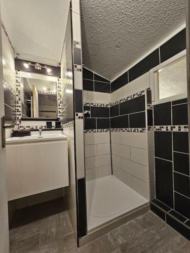 une salle de bain avec une douche, un lavabo et un miroir dans l'établissement appartement 50m2 village vacances, à Arles