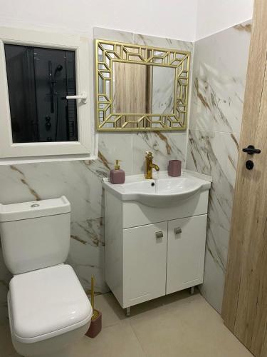 a bathroom with a toilet and a sink and a mirror at Popi's Apartment in Goníai