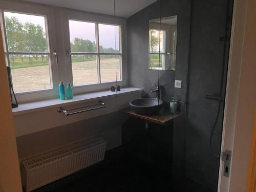 a bathroom with a sink and a window at Luxe Vakantiehuis Zeeland in Wilhelminadorp