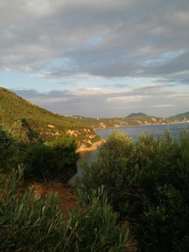 Φυσικό τοπίο κοντά σε αυτό το κάμπινγκ