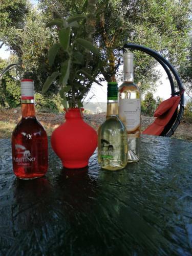 Ποτά στο TerraOliva&herbs