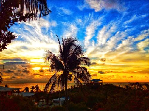 a palm tree in front of a sunset at Windy View Guest House in Providencia