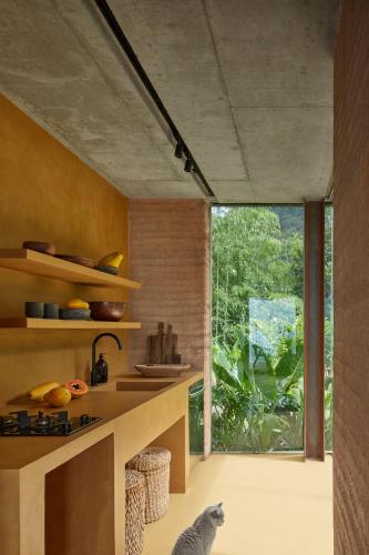 a cat sits in a kitchen with a large window at ACHIOTÉ Architectural Gem - Adults Only in Uvita