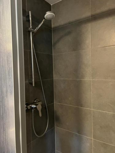 łazienka z prysznicem z głowicą prysznicową w obiekcie Pension Lydia w Lipsku