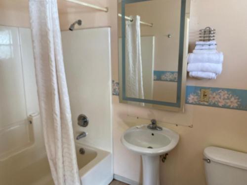 a bathroom with a sink and a toilet and a mirror at Budget Inn of Sebring in Sebring