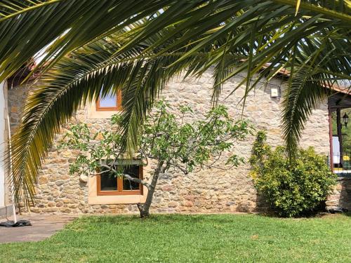 uma casa de pedra com uma palmeira em frente em Casa particular en Renedo de Cabuérniga em Renedo