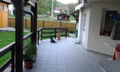 Μπαλκόνι ή βεράντα στο Pension Piatra Craiului