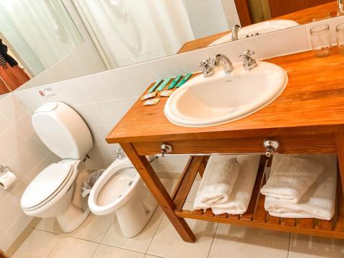 a bathroom with a sink and a toilet at Hosteria La Estepa in El Calafate