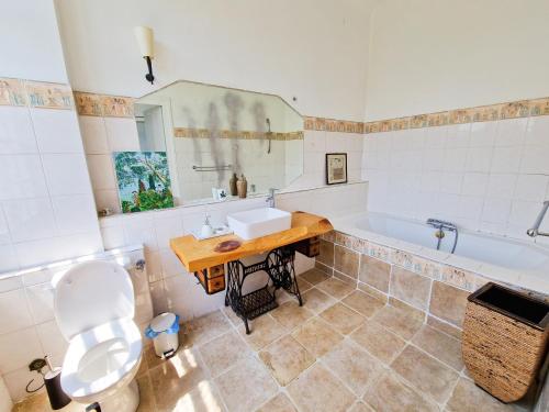 a bathroom with a toilet and a sink and a tub at Maison du Gave in Sauveterre