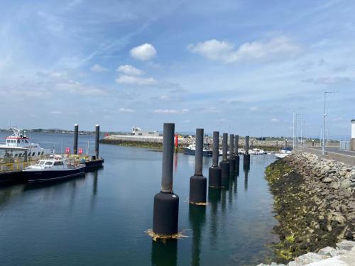 a group of poles in the water with boats at Loch Nuala in Galway