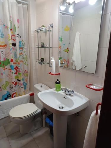 y baño con lavabo, aseo y espejo. en Apartamento Penedo, camino portugus-CON PLAZA DE GARAJE GRATIS, en Santiago de Compostela