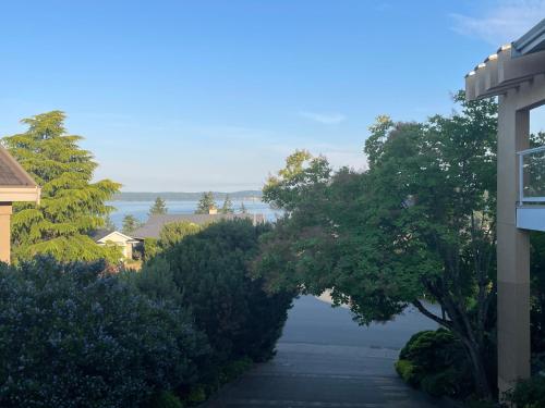a walkway with trees in front of a house at Panoramic Ocean View in Nanaimo