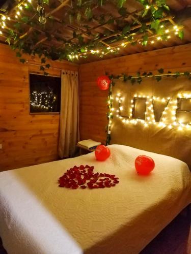 a bedroom with a bed with lights on it at Glamping entre bosques in La Calera