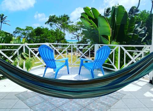 two blue chairs sitting in a hammock on a patio at Islander House on Rocky Cay Beach in San Andrés