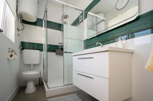 a bathroom with a toilet and a glass shower at Holiday house with WiFi Sali, Dugi otok - 17797 in Sali