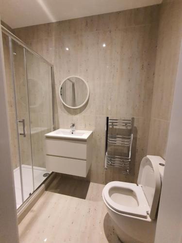 a bathroom with a toilet and a sink and a shower at Blue house in Edgware