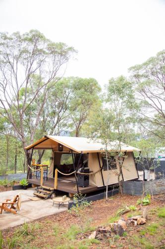 a tent in a field with trees in the background at Moogie Glamp in Moogerah