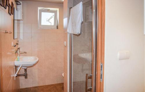 a bathroom with a shower and a sink at Nice Apartment In Rydzewo With Wifi in Rydzewo