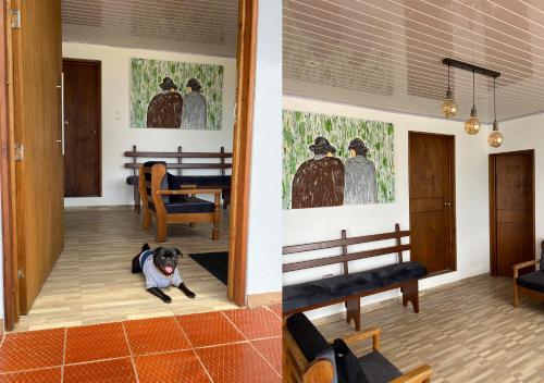 Galeriebild der Unterkunft Finca La Piedra in Aquitania