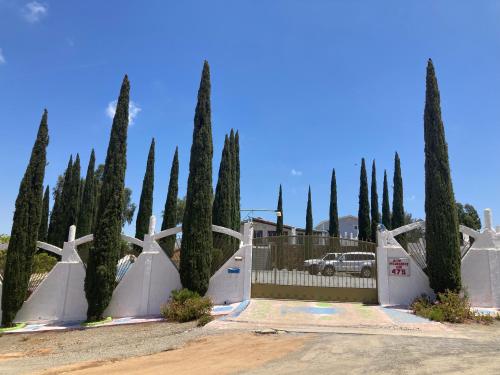a row of cypress trees in front of a white fence at Casa Ciprés in Valle de Guadalupe