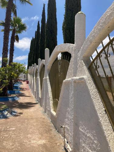 a stone fence with trees and palm trees at Casa Ciprés in Valle de Guadalupe