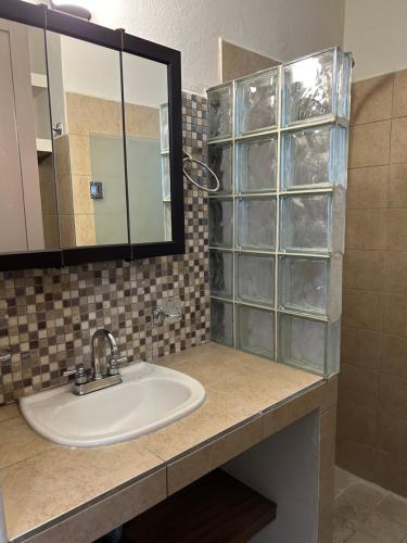 une salle de bain avec un lavabo et un miroir dans l'établissement Xochimilco Apartment, à Oaxaca