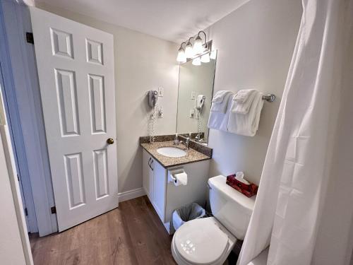 een badkamer met een toilet, een wastafel en een spiegel bij Blue Mountain at your Door Step in Blue Mountains