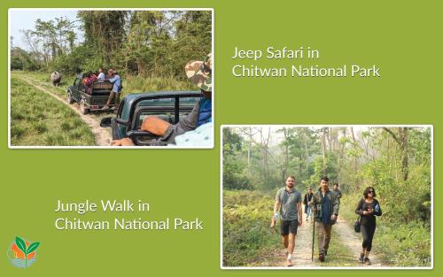 a collage of pictures of people walking in the woods at Green Chwadi Nature Retreat in Kawasoti
