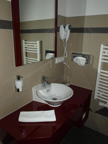 a bathroom with a sink and a mirror at Hotel & Restaurant Waldschlösschen in Kyritz
