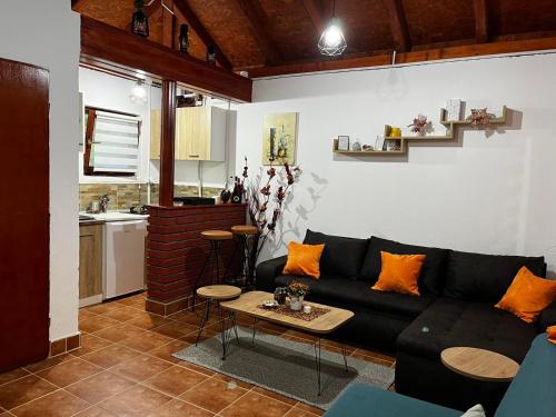 ein Wohnzimmer mit einem schwarzen Sofa und einem Tisch in der Unterkunft Studio Vikendica Bele Vode in Banja Koviljača
