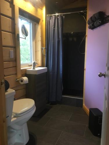 a bathroom with a toilet and a sink and a shower at Oma's and Opa's Northern Lights Viewing Cabin in Whitehorse