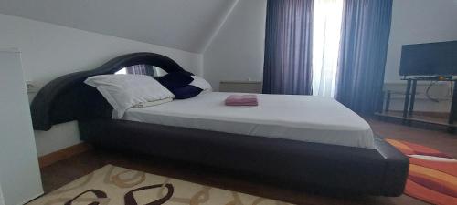 Billede fra billedgalleriet på Casa Dunarea i Chilia Veche