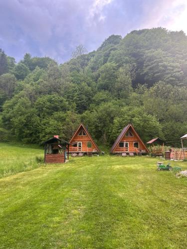 un grupo de cabañas en un campo con una montaña en Cabanutze Satic, en Rucăr