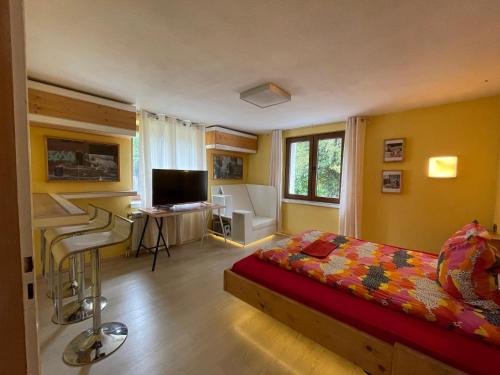 1 dormitorio con 1 cama y escritorio con ordenador en Direkt am Main en Karlstadt