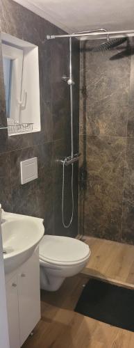 ein Badezimmer mit Dusche, Toilette und Waschbecken in der Unterkunft Casa Vida in Luncasprie