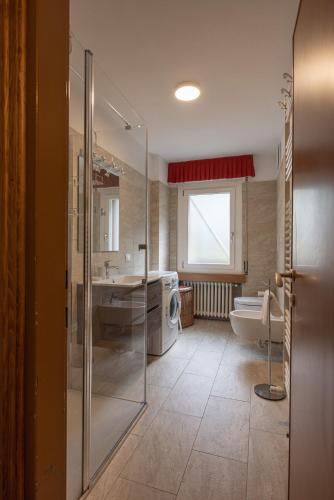 a bathroom with a shower and a sink and a toilet at Casa Lino in Borca di Cadore