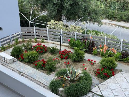 Un jardín fuera de Amaranth Rose