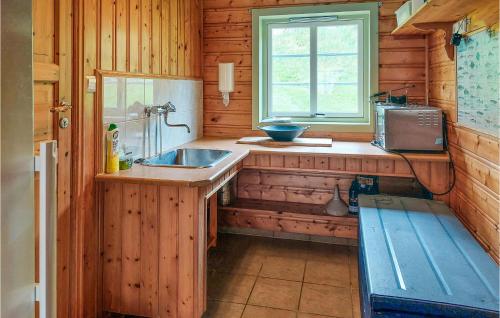 a kitchen with a sink and a window in a cabin at Stunning Home In Mosvik With House Sea View in Mosvik